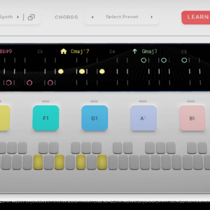 PITCH INN Fluid Chords