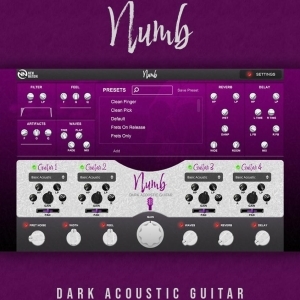 NNLLC Numb - Dark Acoustic Guitar