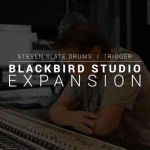 STEVEN SLATE SSD Blackbird expansion