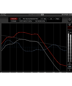 Ayaic Ceilings Of Sound Pro