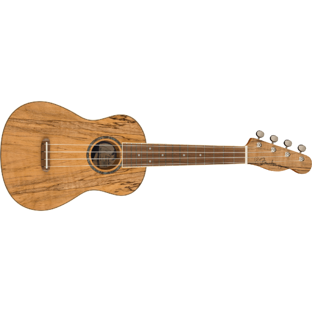 Fender Zuma Exotic Concert Ukulele