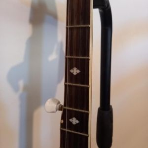 Vision Banjo 5 cordes avec sa housse et son pied