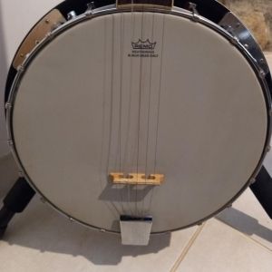 Vision Banjo 5 cordes avec sa housse et son pied