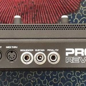 Dave Smith Instruments Prophet Rev2 Rack edition (vendu)