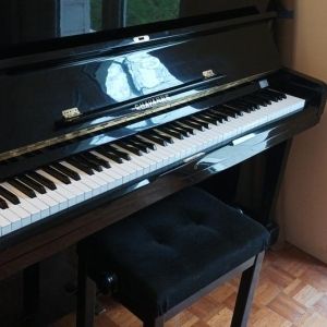 Chavanne Piano droit M5