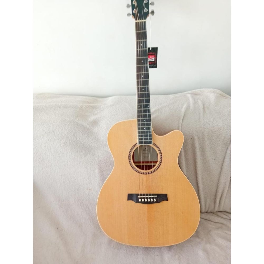 Prodipe Guitare SA25 CEQ