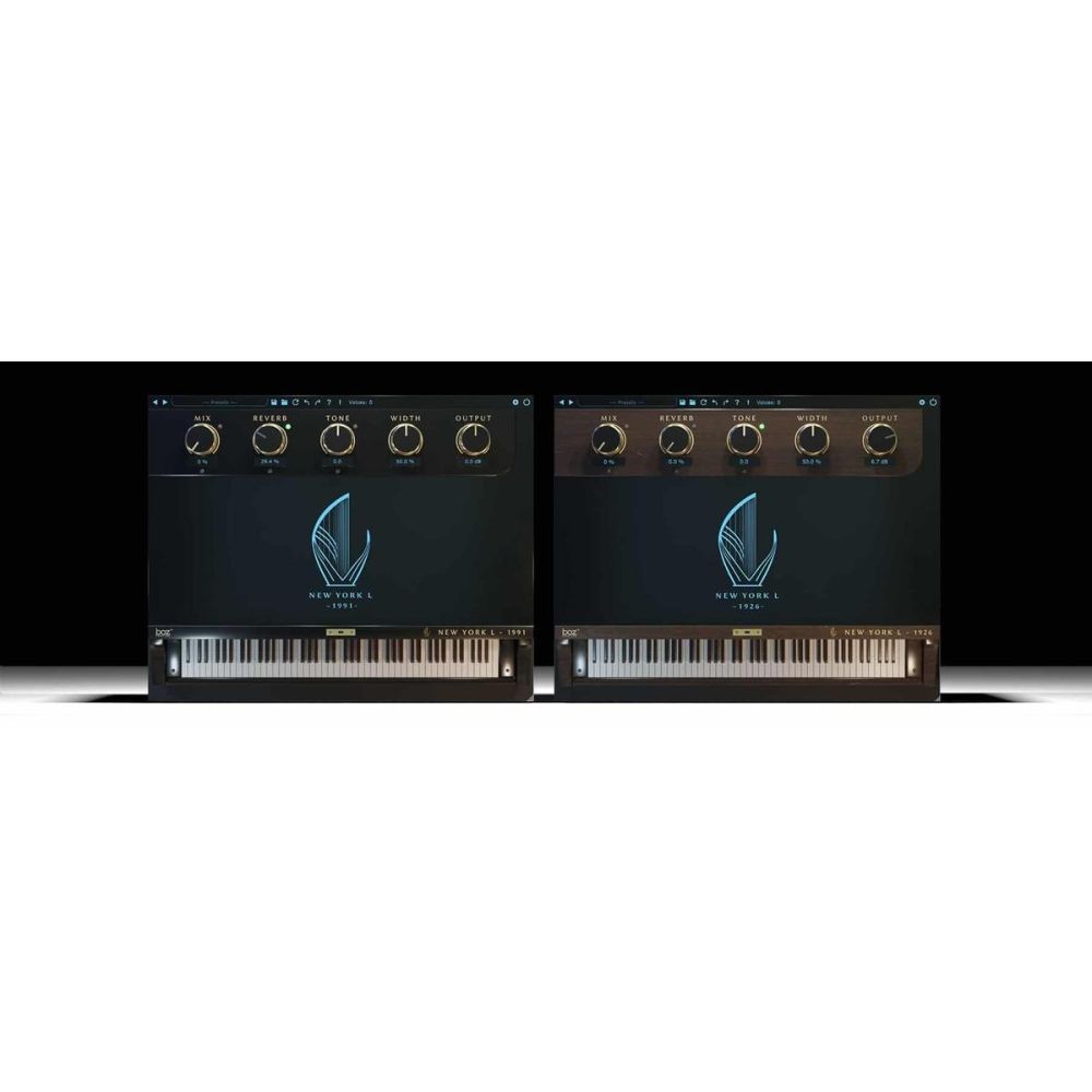 Boz Digital Labs Boz Digital Master Keys New York L Bundle