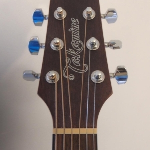 Takamine Guitare