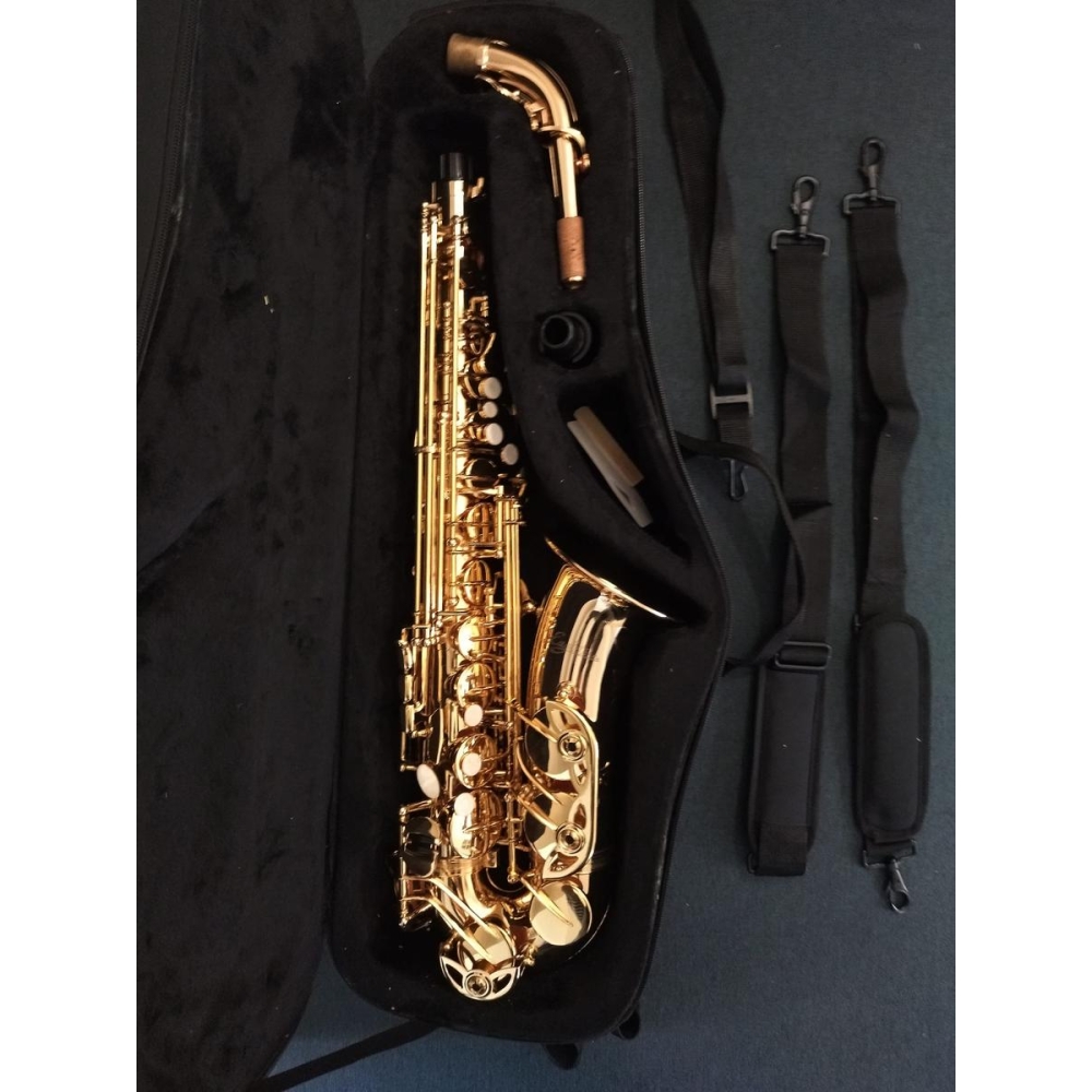 Eagletone Saxophone alto