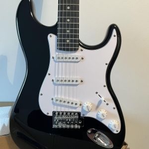 Eko Guitare électrique S300