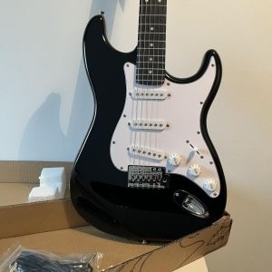 Eko Guitare électrique S300