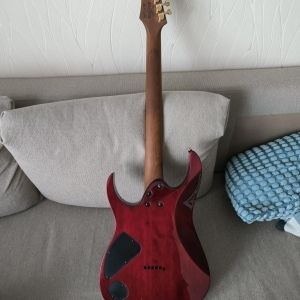 Ibanez Guitare électrique RG421HPFM