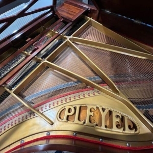 Pleyel Magnifique Piano 1/4 de queue type F, 1,64m style art deco