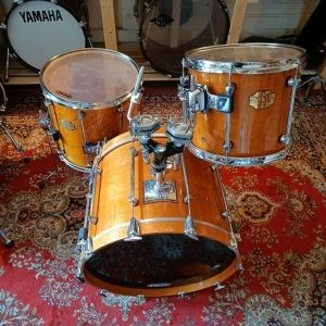 Signia Premier Maple Topaz 22" 13" 16"