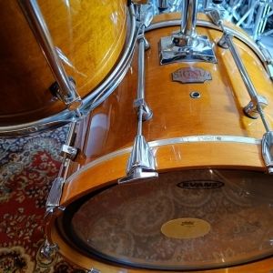 Signia Premier Maple Topaz 22" 13" 16"