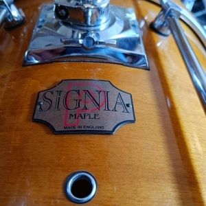 Signia Premier Maple Topaz 22" 13" 16"