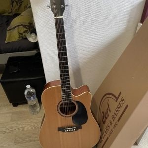 Prodipe Guitare SD25 CEQ