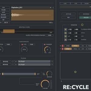 Digital Brain Instruments ReCycle