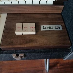 Welson Orgue Condor duo années 1970