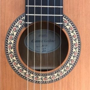 Strunal Schönbach Guitare 371 OP