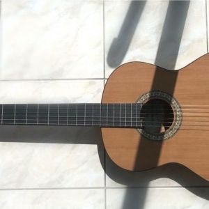 Strunal Schönbach Guitare 371 OP