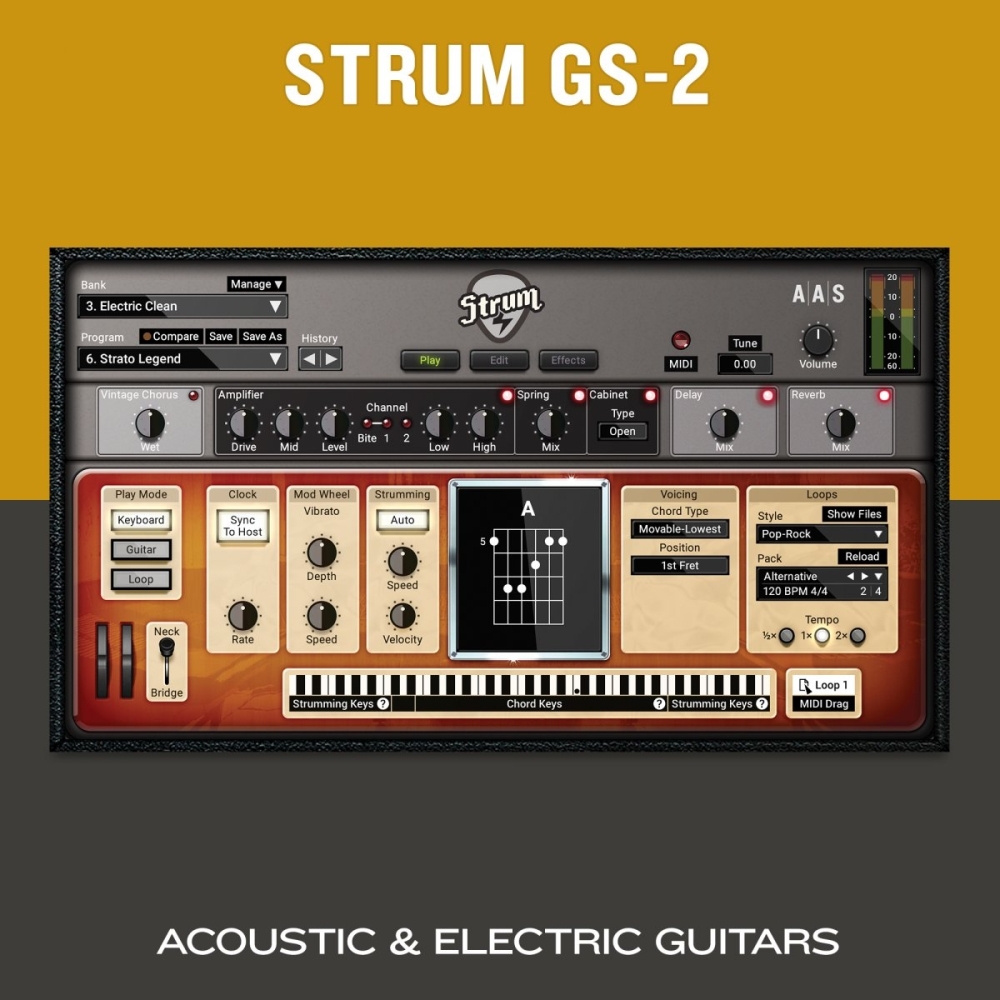 Applied Acoustics Systems Strum GS-2