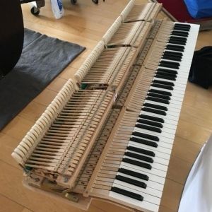 Schimmel Piano à queue modèle 147 en finition acajou brillant.