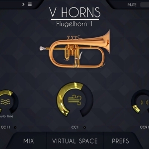 Acousticsamples VHorns Flugelhorn