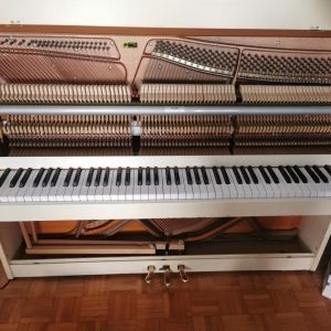 Fazer Piano droit 108