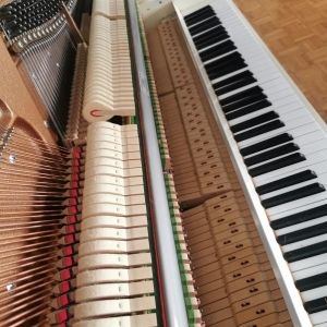 Fazer Piano droit 108