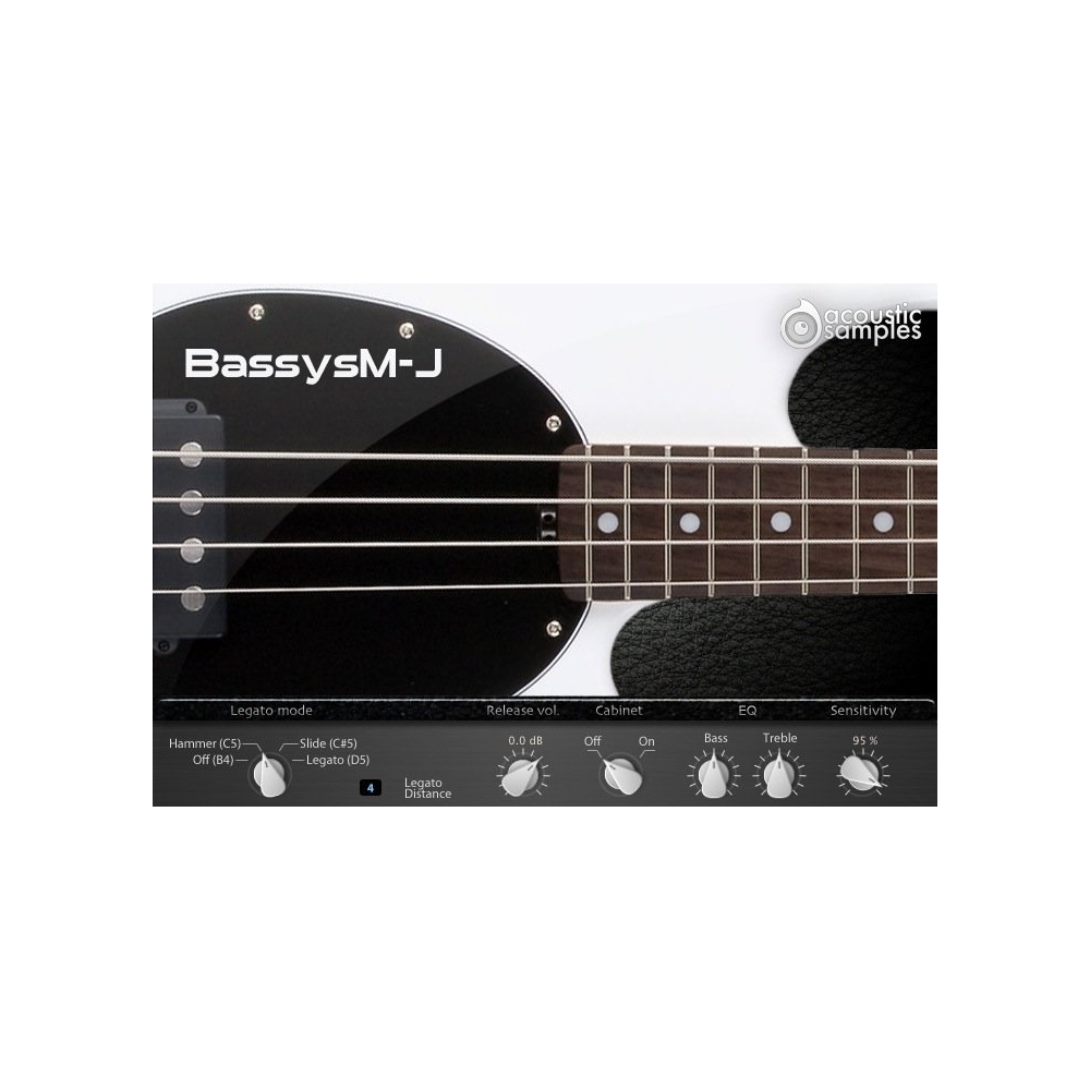 Acousticsamples Bassysm-J