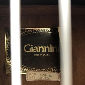 Giannini Guitare