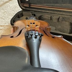 Stentor Violon