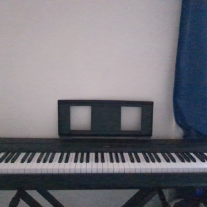 Yamaha  P-45