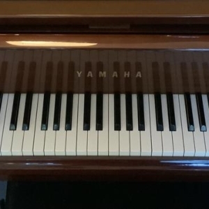 Yamaha PIANO ACOUSTIQUE QUART DE QUEUE G2 NIPPON GAKKI