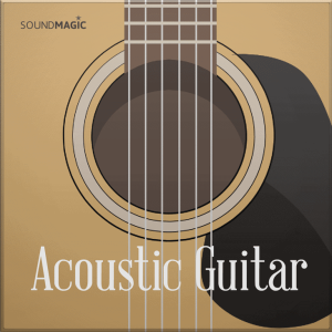 Sound Magic Acoustic Guitar