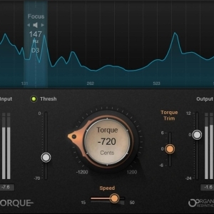 Waves Audio Torque