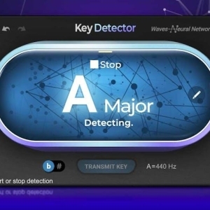 Waves Audio Key Detector