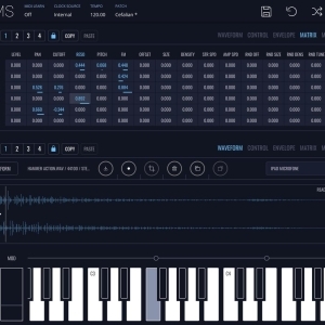 instruments FRMS - Granular Synthesizer