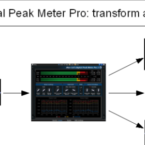 Blue Cat Audio Blue Cat DP Meter Pro