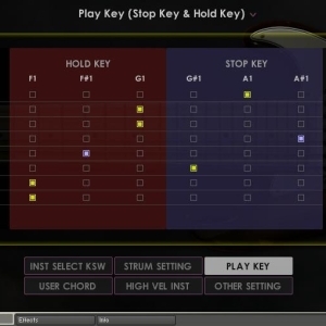 Prominy SC Electric Guitar 2