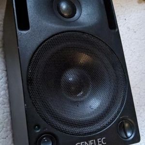 Genelec Paire d'enceintes 1029 A