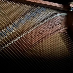 PIANO SCHIMMEL 115 laqué noir + tabouret