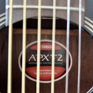 Yamaha  APXT2