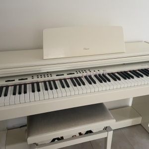 Viscount Piano SV-100