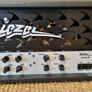 Diezel  Einstein 2-Channel Guitar Amp Head 2005 - 2012