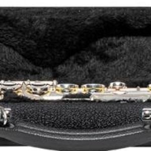 STAGG Etui en ABS pour flute