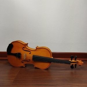 Alcaya Violon 1/2