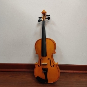 Alcaya Violon 1/2