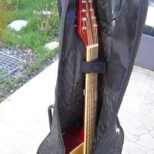 Guitare 12 cordes MSA